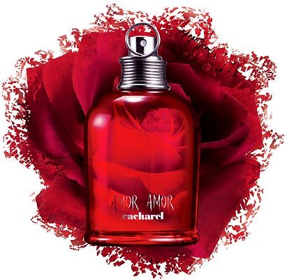 Amor Amor - 100ml