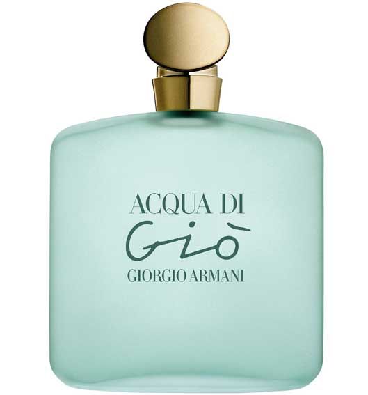 Acqua Di Giò Feminino - 100ml
